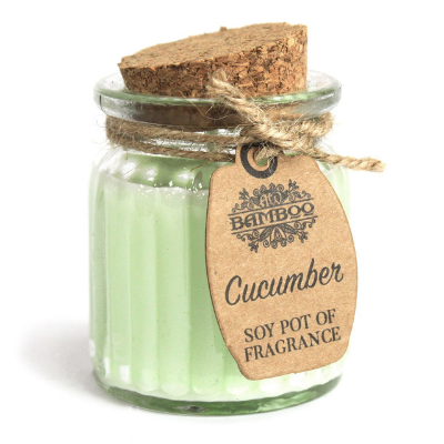 1031-Soy Pot geurkaars cucumber